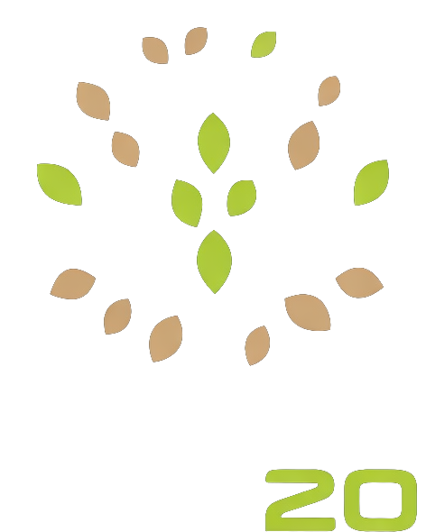 Logo RDC20